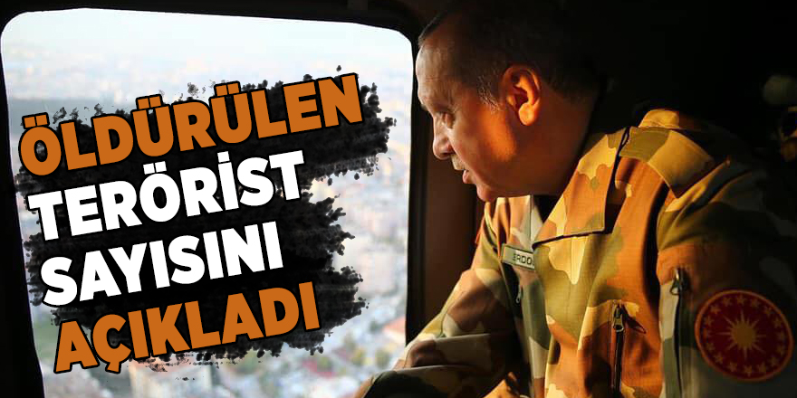 Cumhurbaşkanı Erdoğan öldürülen terörist sayısını açıkladı