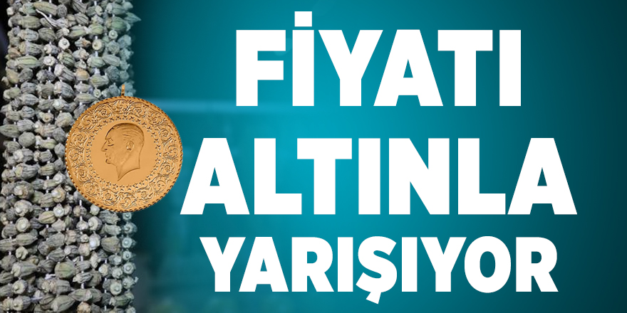 Bamyanın fiyatı altınla yarışır hale geldi