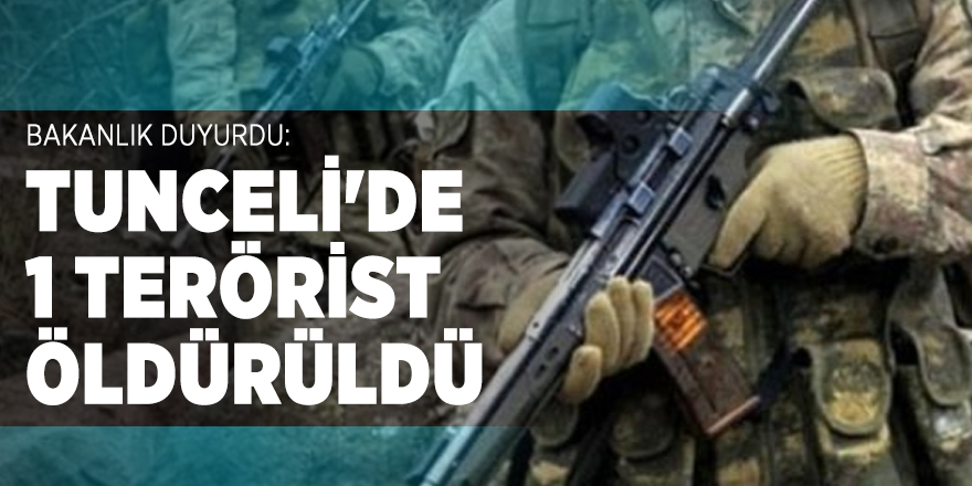 Bakanlık duyurdu: Tunceli'de 1 terörist öldürüldü