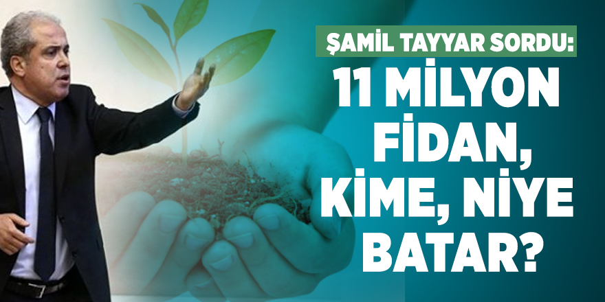 Şamil Tayyar sordu: 11 milyon fidan, kime, niye batar?