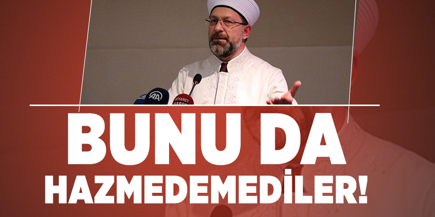 Diyanet İşleri Başkanı Ali Erbaş: Bunu da hazmedemediler!