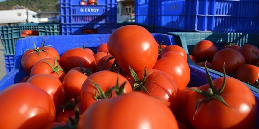 Kasım ayı zam şampiyonu domates oldu