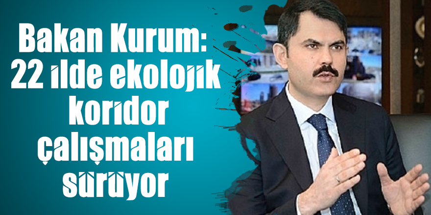 Bakan Kurum: 22 ilde ekolojik koridor çalışmaları sürüyor