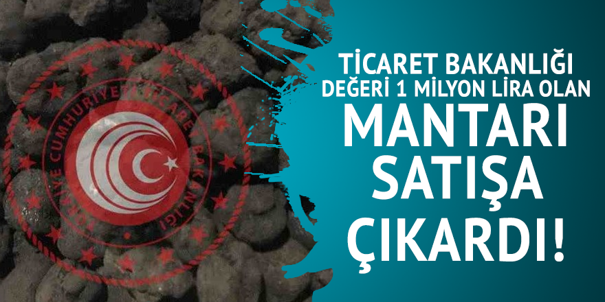 Ticaret Bakanlığı Değeri 1 milyon lira olan mantarı satışa çıkardı!