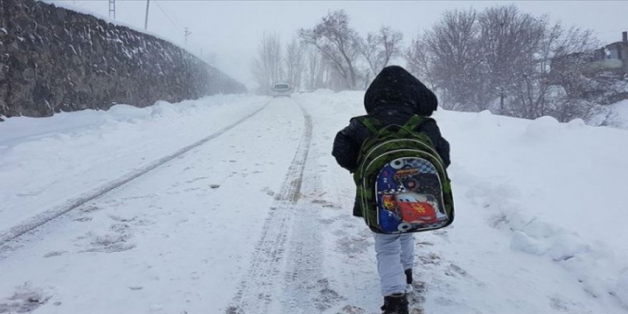 Muş ve Konya'da eğitime kar engeli