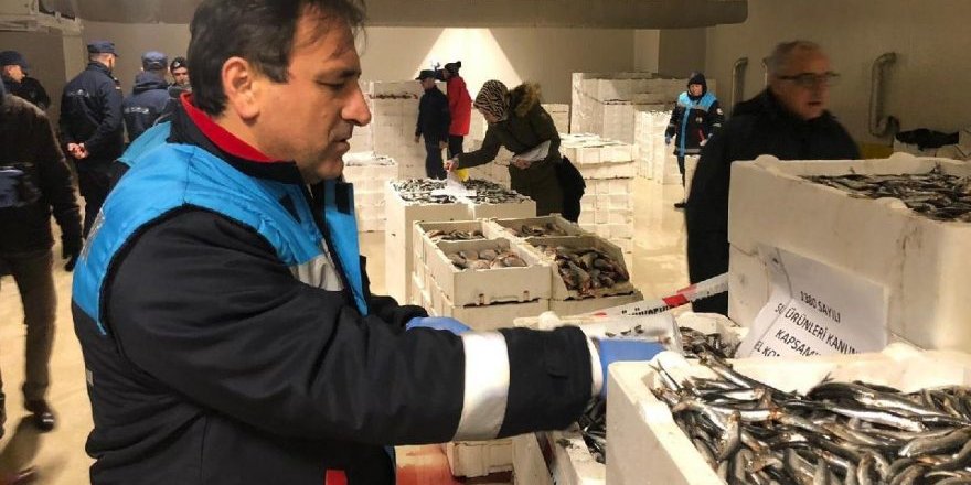 53 ton balığa el konuldu