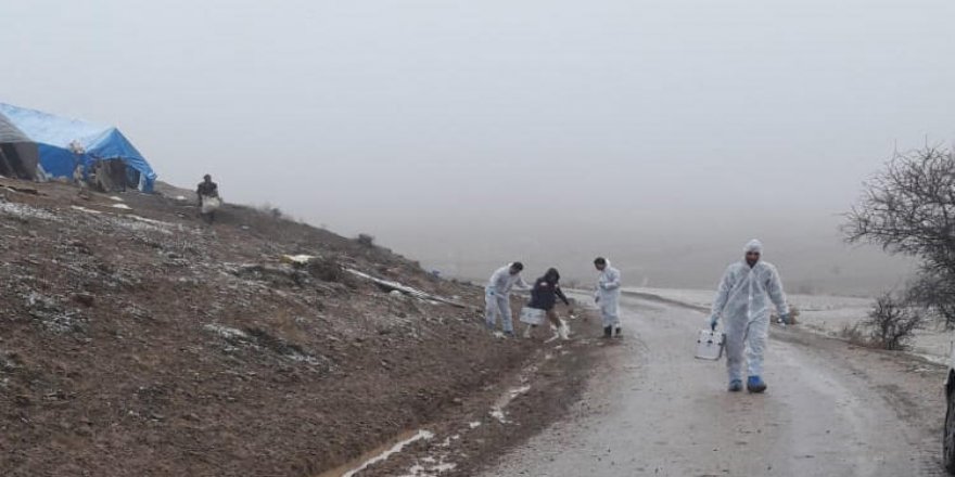 240 küçükbaş hayvan telef oldu, köy karantinaya alındı