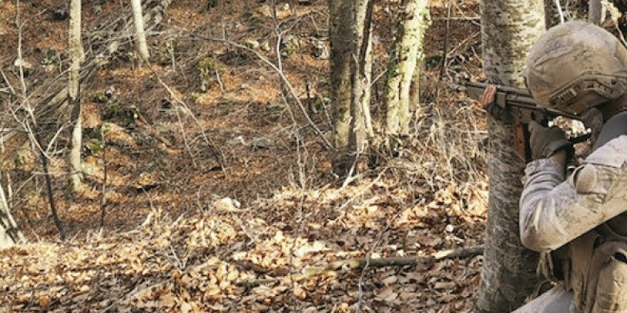 PKK'ya Amanos kapanı kuruldu!