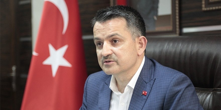 Bakan Pakdemirli'den Giresunlu üreticilere müjde
