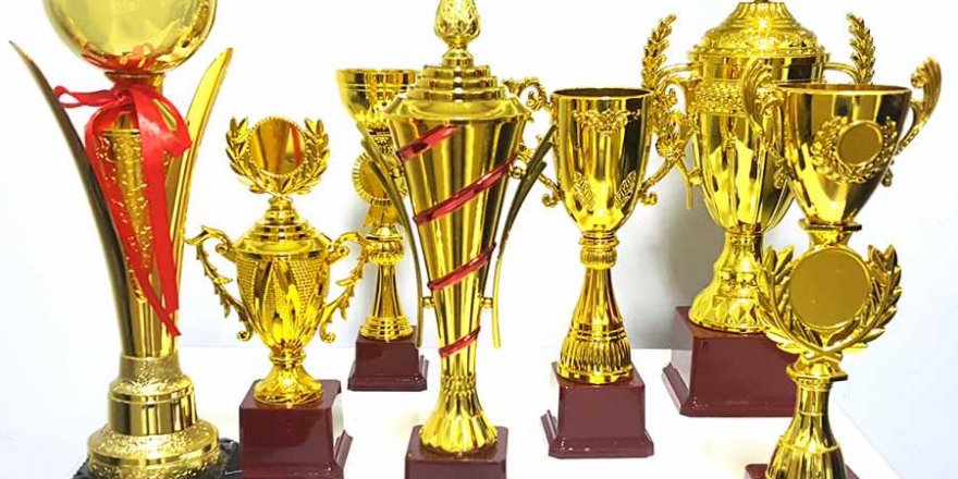 SİYAD 2019 Türkiye Sineması Ödülleri adayları belli oldu