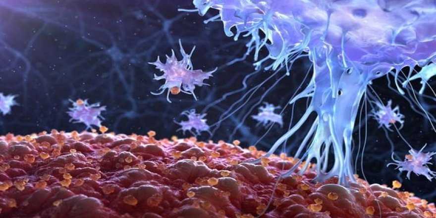 Corona virüsünde son durum: Ölenlerin sayısı 491 oldu