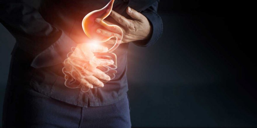 Mide ve bağırsaklarından çıkanlar şoke etti !