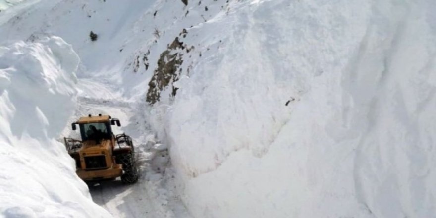 Meteoroloji'den iki bölge için çığ uyarısı