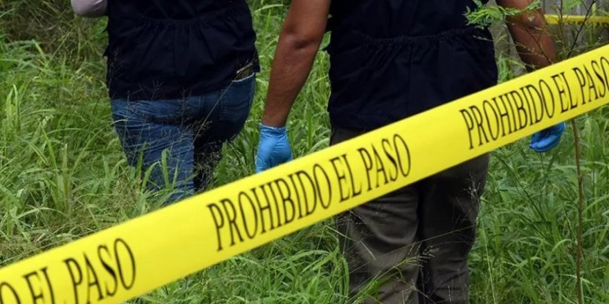 Korkunç olay: Bir çiftlikte 16 ceset bulundu!