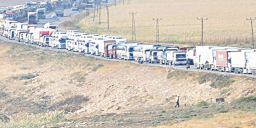 Virüse karşı ‘çift şoför’ formülü bulundu