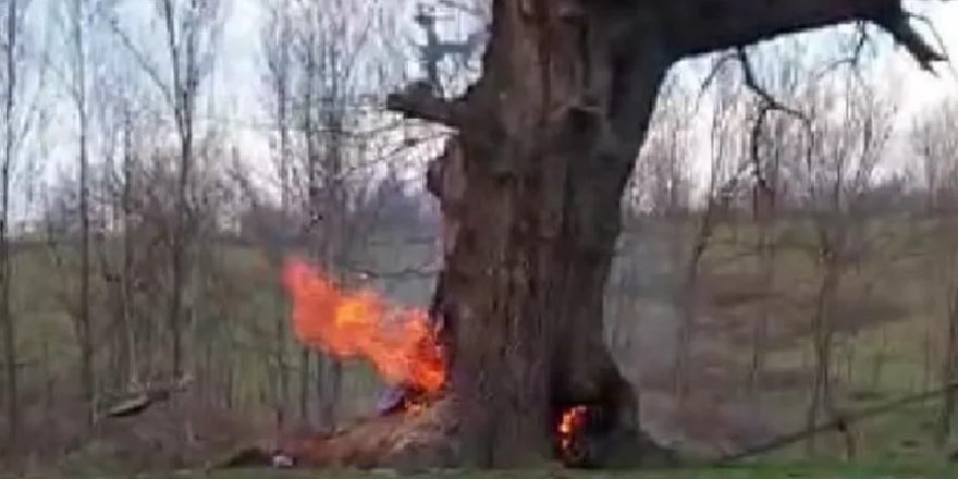 Bursa'da isyan ettiren olay!