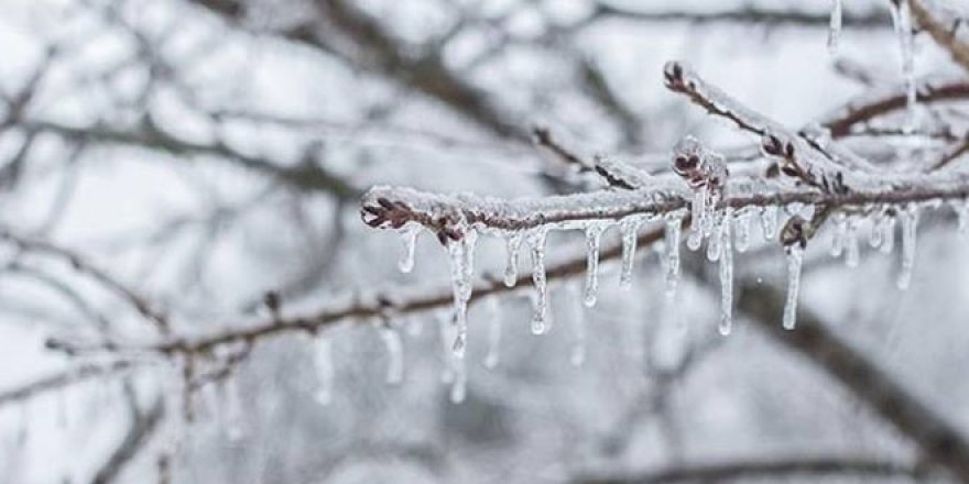 Meteorolojiden kar yağışı ve zirai don uyarısı