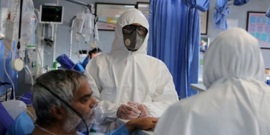 Koronavirüste son rakamlar ortaya çıktı