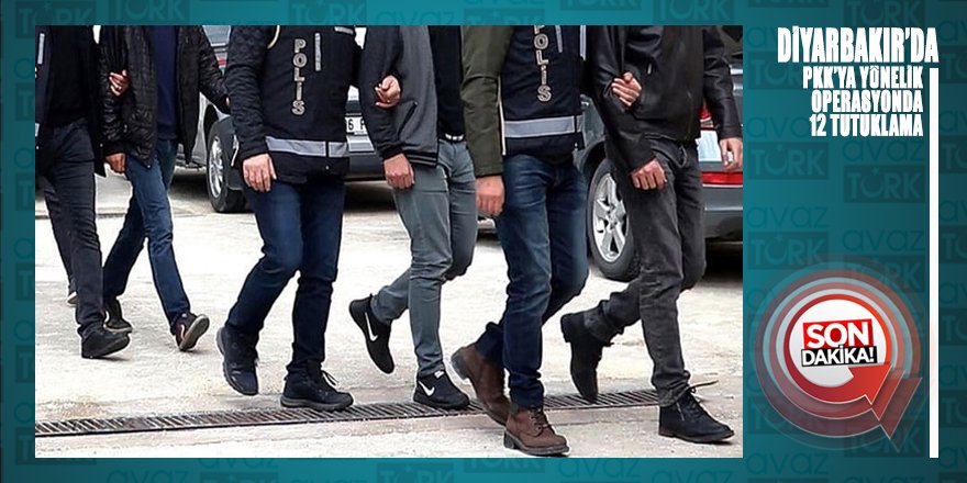 Diyarbakır'da PKK operasyonu: BDP Eş Genel Başkanı dahil 12 tutuklama