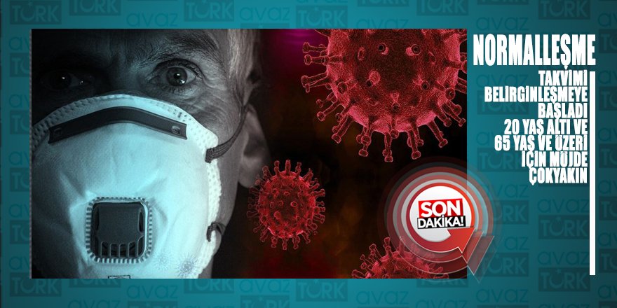 İşte Cumhurbaşkanlığı'nın planladığı NORMALLEŞMEYE geçiş TAKVİMİ