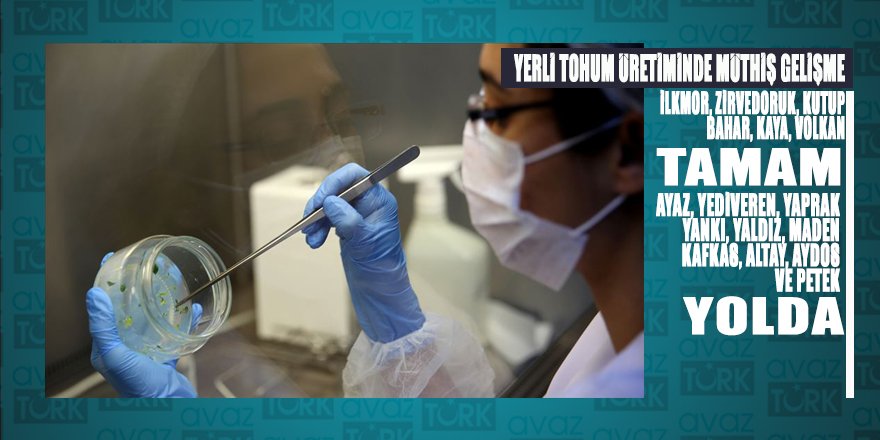 Nevşehir’deki laboratuvarlar Türkiye'nin yerli ve milli tohumları için çalışıyor