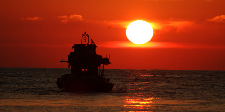 Batı Karadeniz'de ortaya çıkan kızıl güzellik görenleri büyüledi