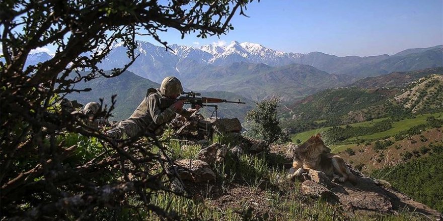 Elazığ ve Şırnak’ta düzenlenen operasyonla 4 terörist imha edildi