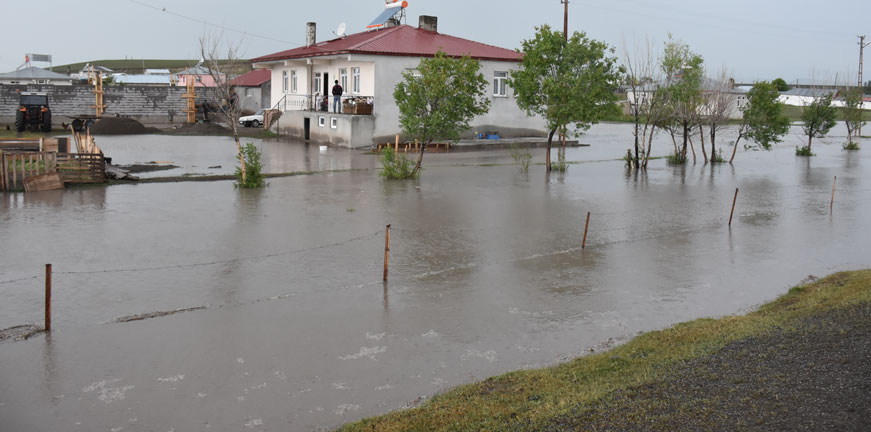 Kars'ta şiddetli dolu nedeniyle 50 küçükbaş hayvan telef oldu
