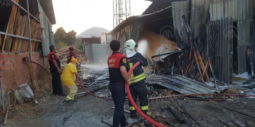 Muğla'da Kereste Deposunda Çıkan Yangın Maddi Hasara Neden Oldu