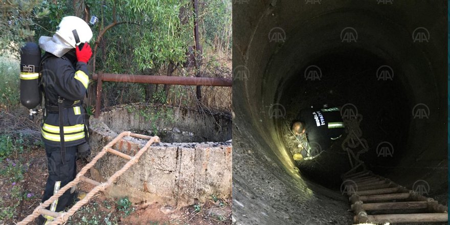 Muğla Menteşe'de Kuyuya Düşen Kedi Yavrusunun İmdadına İtfaiye Yetişti