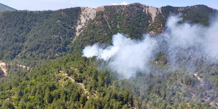 Hatay'da ormanda yangın çıktı! Ekipler seferber oldu