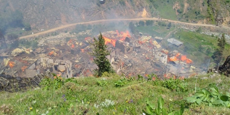 Artvin'de Bir Köyde Yangın Çıktı