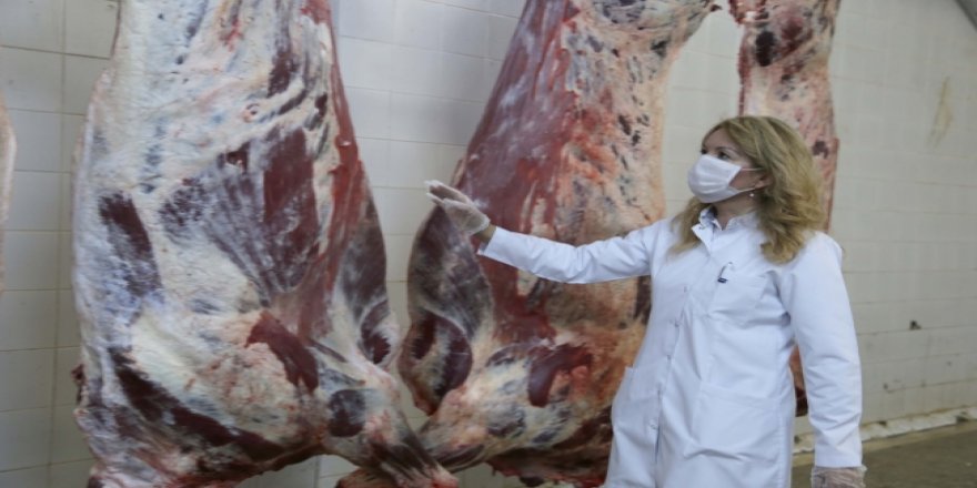 COVID-19 kurbanlıktan insana bulaşır mı? Dr. Öğr. Üyesi Şahin cevap verdi