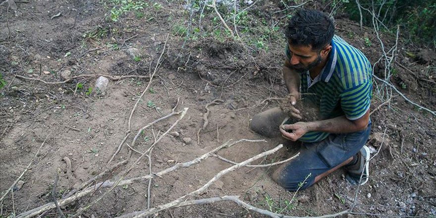 Suriyeli Hasan yangını söndürmek için avuçlarıyla toprak taşıdı! Sosyal medya sallandı