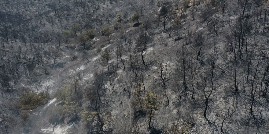 İzmir Menderes yangından geriye kalan görüntü yürekleri yaktı!