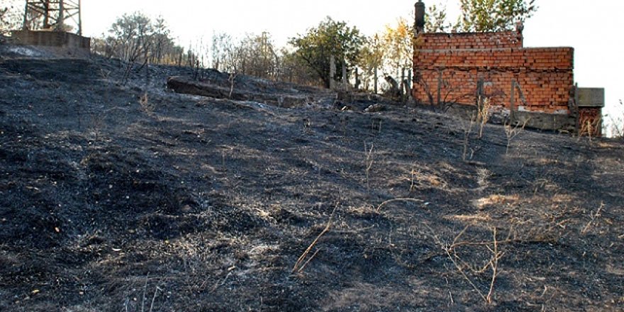 Bulgaristan-Türkiye sınırındaki orman yangını söndürüldü!