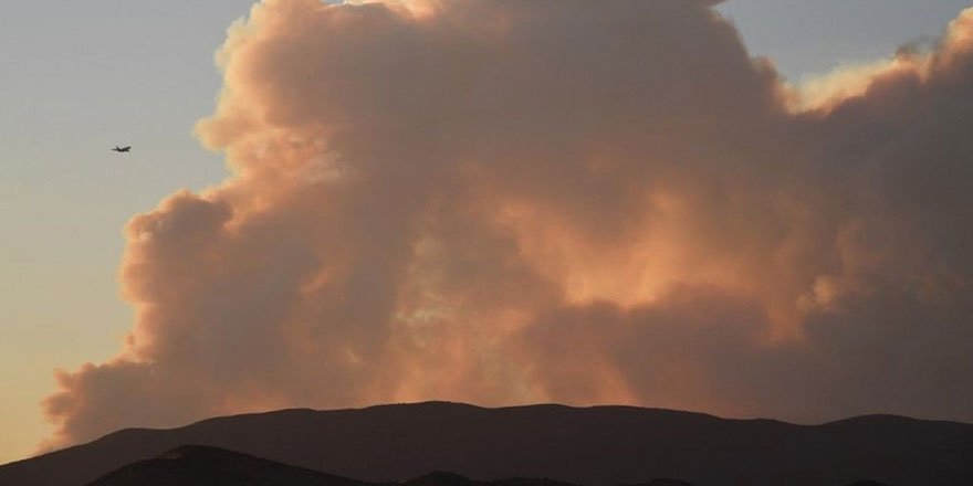 ABD'de 40 bin dönümlük yangın! 100 km öteden görülüyor