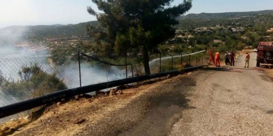 Mersin'de çıkan orman yangınına müdahale ediliyor
