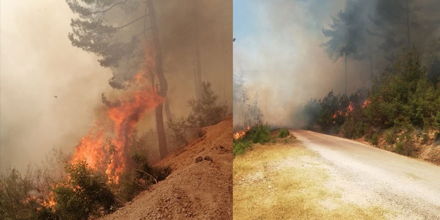 Adana Kozan'da orman yangını! Ekipler müdahale ediyor