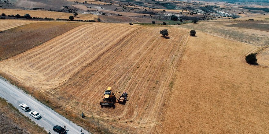Mansur Yavaş'ın bir hayali daha gerçek oldu! Sözleşmeli üretici çiftçiler ilk hasada başladı