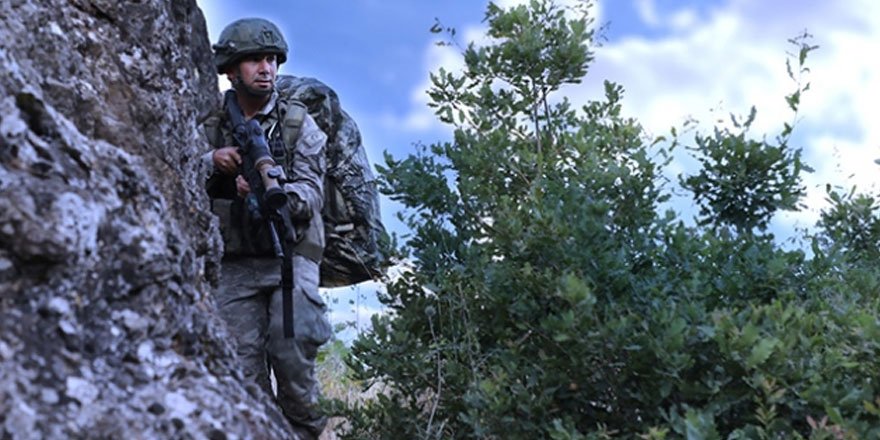 Pençe-Kaplan'da 5 terörist etkisiz hale getirildi