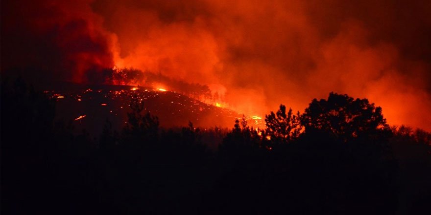 Adana Kozan'daki orman yangını sürüyor