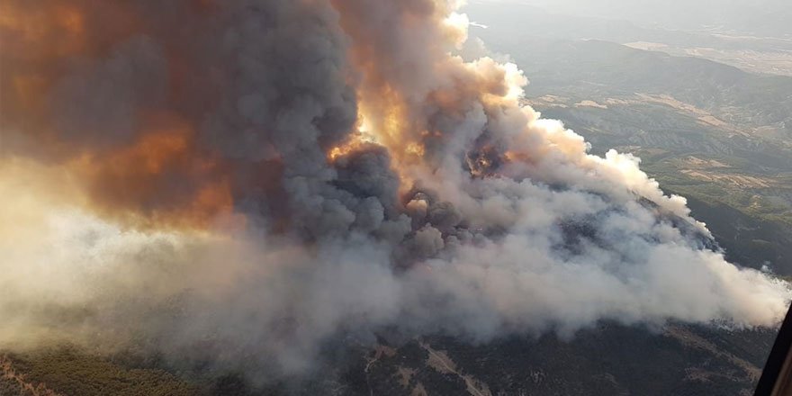 Ankara'da orman yangını! Saatlerdir müdahale ediliyor