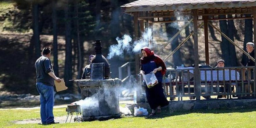 Karantinada olması gereken 78 kişi piknikte yakalandı