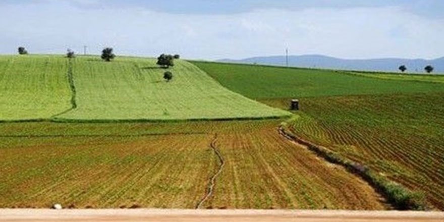 DSİ 6 ilde arazi toplulaştırması yapacak