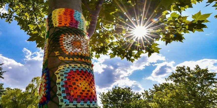 Ankara'daki parklara kadın eli değdi! El emeği örgülerle ağaçlar süslendi