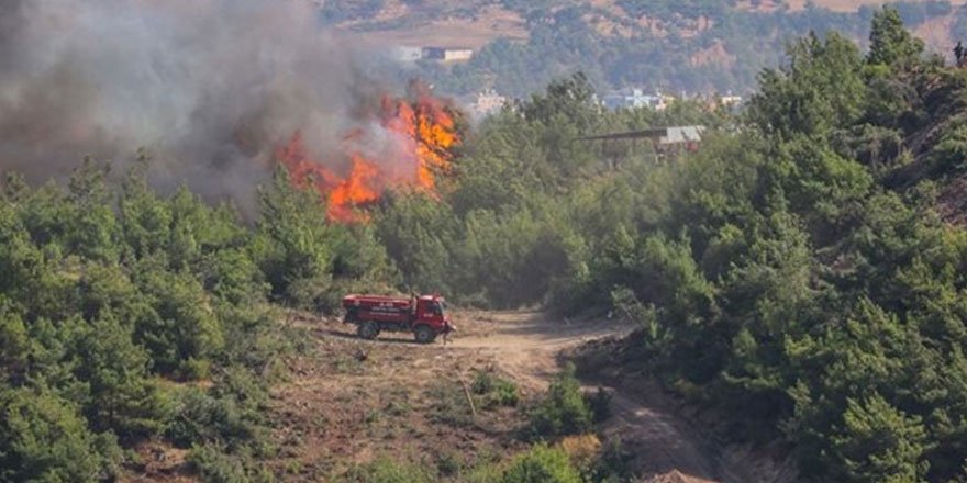 Hatay'daki orman yangınlarıyla ilgili 2 tutuklama