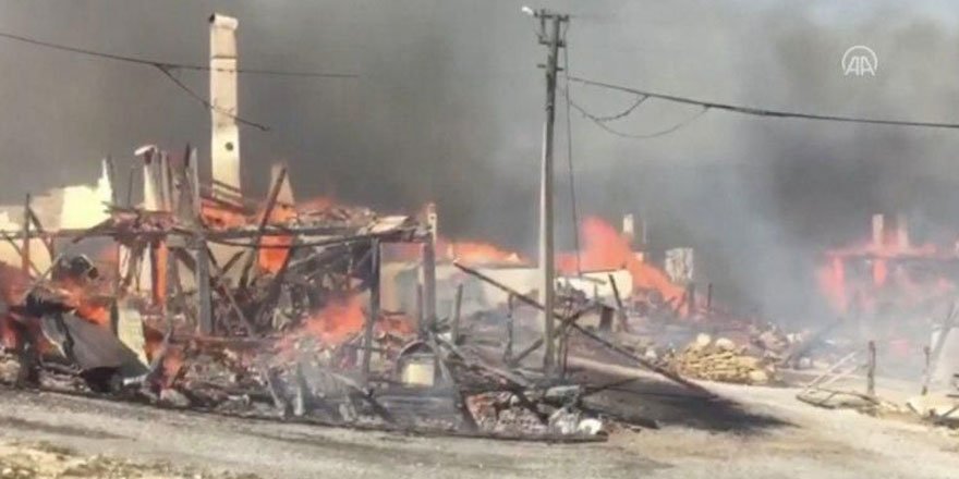 Bolu'da Kuzfındık köyünde yangın!