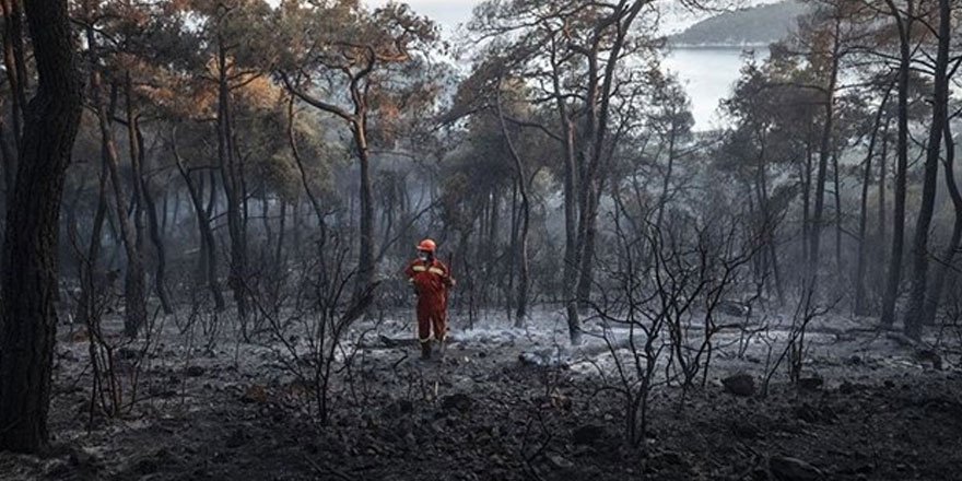 Heybeliada'da orman yakan sanık için istenen ceza belli oldu