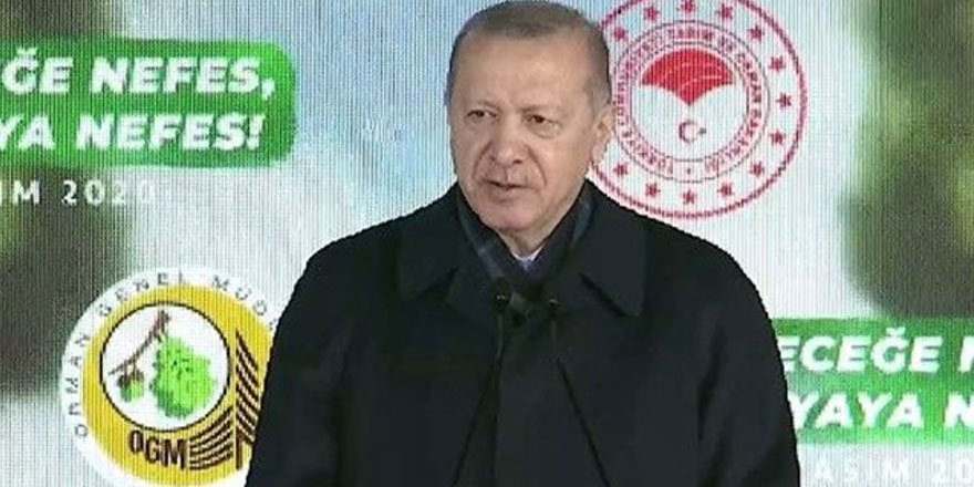 Cumhurbaşkanı Erdoğan: Sahte çevrecilere aldırmadan çalışıyoruz